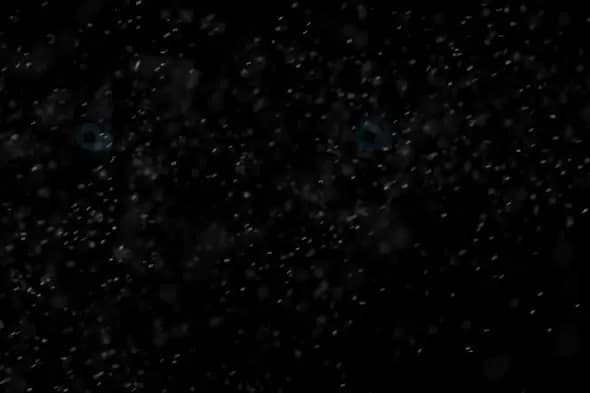 Soft Snow Flurry in Darkness – Atmospheric Winter Particles