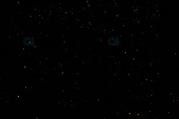 Floating Glowing Orange Particles on Black Background