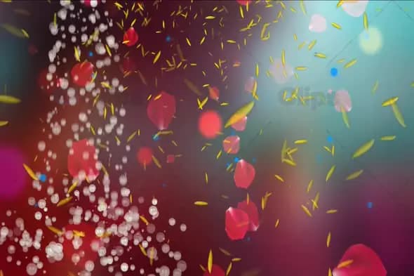 Falling Rose Petals with Soft Bokeh and Light Particles