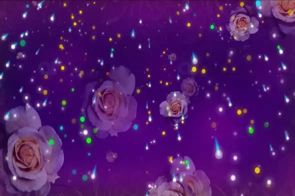 Elegant Purple Rose Background with Floating Light Particles