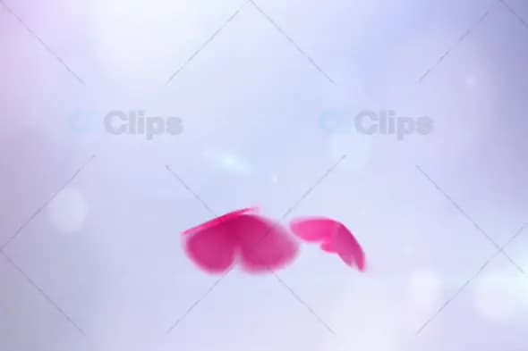 Floating Pink Hearts with Soft Light - Romantic Background