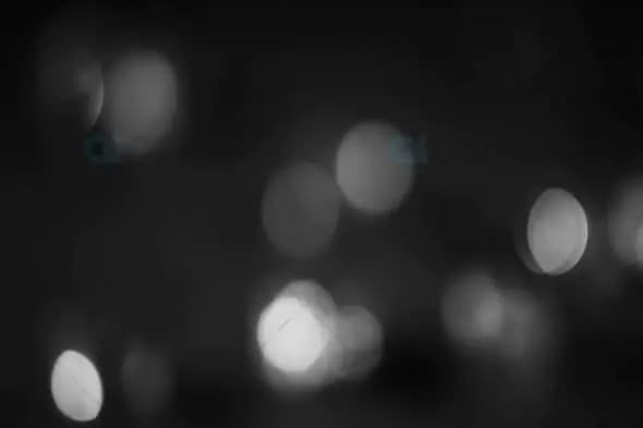 Monochrome Bokeh Lights in Soft Focus