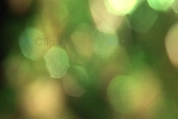 Natural Green and Golden Bokeh with Soft Blur