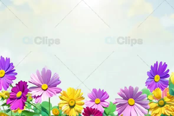 Colorful Spring Flowers in Bloom with Sunny Sky Background