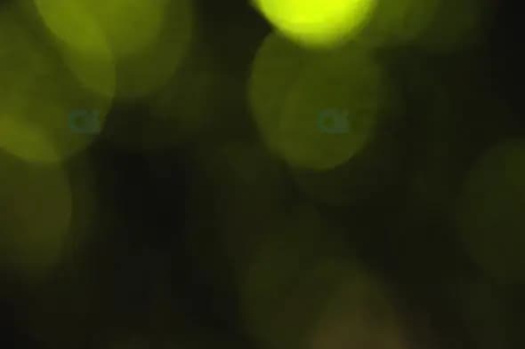 Soft Green Bokeh with Blurred Glow on Dark Background