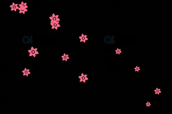 Diagonal Pink Flowers Overlay on Black Background