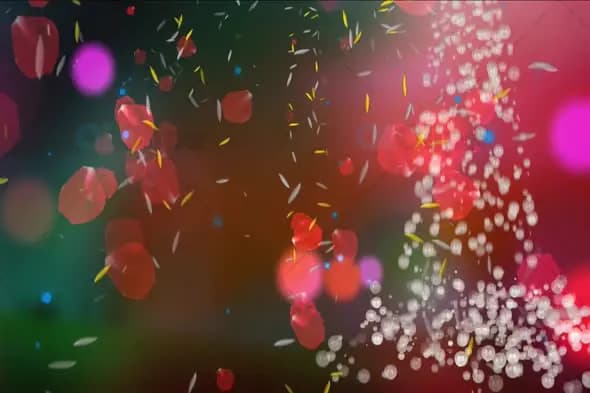 Romantic Rose Petals with Bokeh Light and Glitter Particles