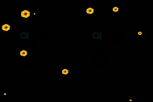 Scattered Yellow Flowers Overlay on Black Background