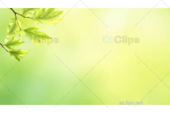 Soft Green Leaves with Gradient Background – Peaceful Nature Design