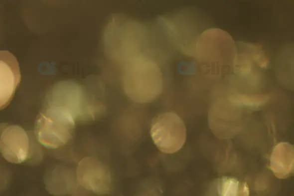 Soft Golden Bokeh Lights Background for Elegant Motion Graphics