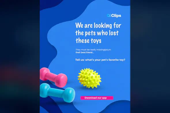 Lost Pet Toys Awareness PSD Template