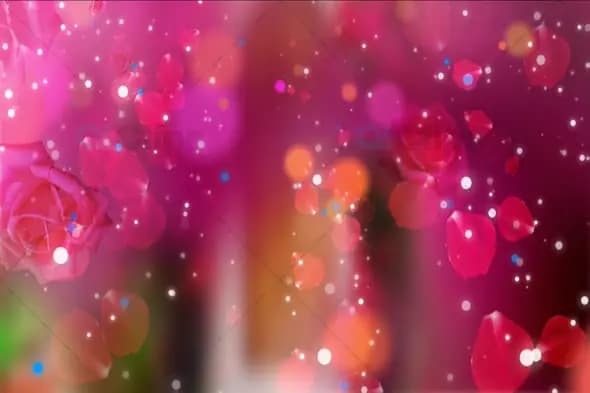 Dreamy Floating Rose Petals with Pink Bokeh Romantic Background Animation