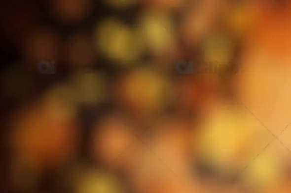 Warm Orange and Yellow Bokeh with Soft Blur Effect