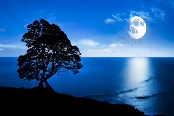 Moonlit Ocean with Silhouetted Tree and Full Moon Reflection