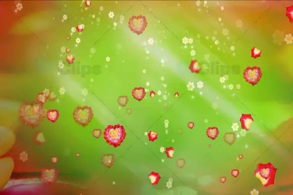 Romantic Heart and Flower Motion Background with Soft Light Rays