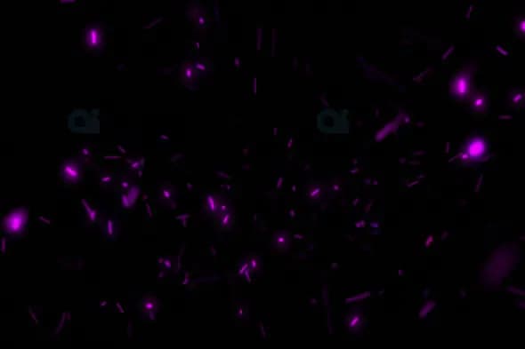 Glowing Purple Sparks – Mystical Particle Motion Effect