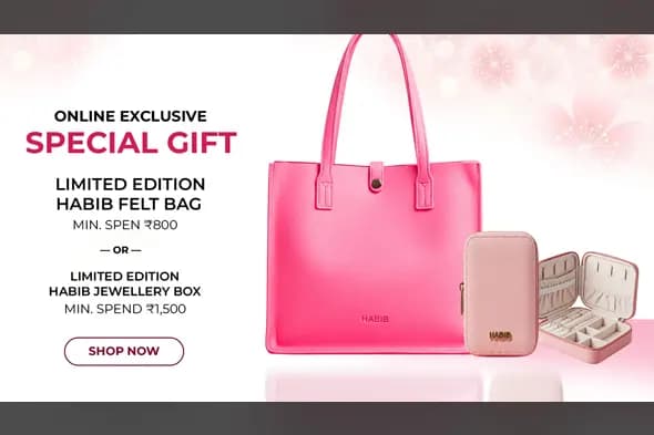 Fashion Accessories Gift Offer Template