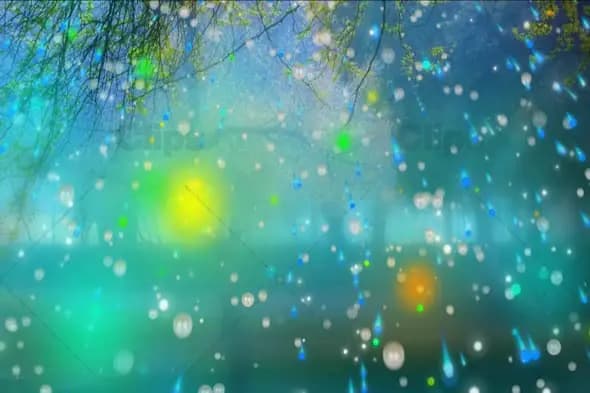 Mystical Forest with Floating Magical Lights and Ethereal Glow Animation