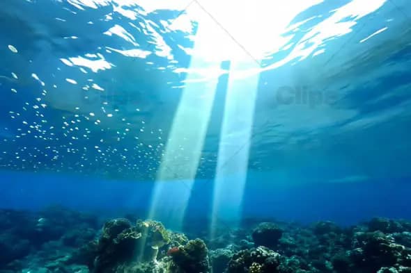 Sunlight Rays Through Ocean Surface - Underwater Coral Reef