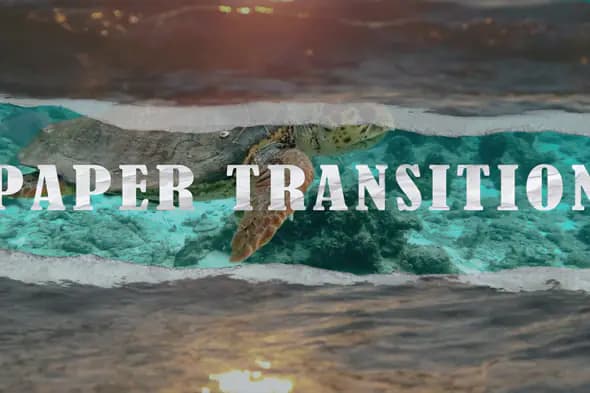 Paper Ripped Edge Transitions Organic Cut Scene Effect