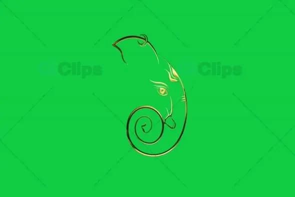 Spiral Ganesha Face Outline Animation on Green Screen