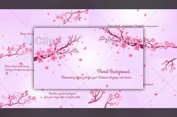 Elegant Cherry Blossom Background Animation Template