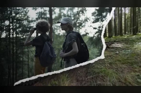 Creative Paper Cut Transition Template for After Effects
