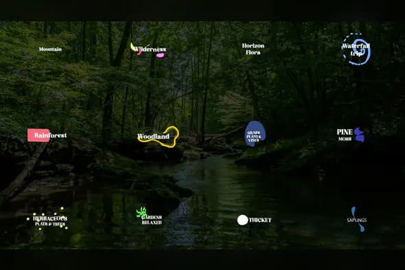 Nature Elements Lower Thirds Template for Forest and Travel Videos – After Effects
