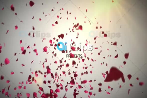 Romantic Rose Petals Slideshow Template