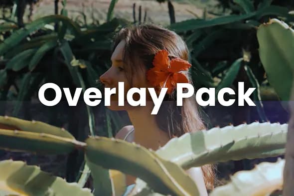 Tropical Paradise Video Overlay Pack for Vibrant Productions