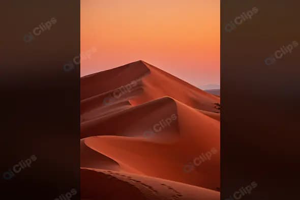 Golden Sand Dunes at Sunset in the Desert