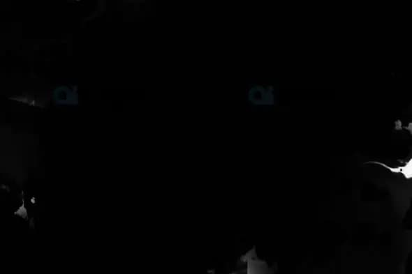 Abstract Black Ink Flow on Dark Background