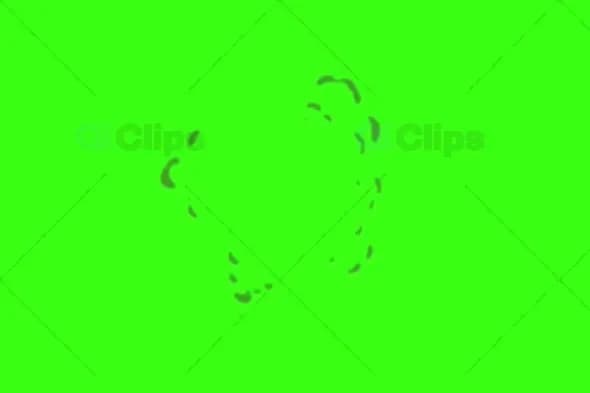 Green Screen Cartoon Splash Animation