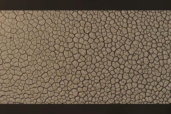 High-Resolution Dry Soil Pattern Cracked Earth Texture