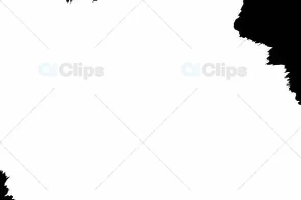 Dynamic Ink Reveal Transition Effect