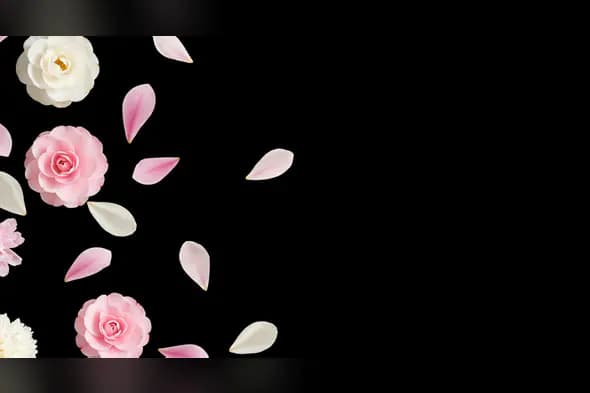 Elegant Floating Flowers and Petals on Black Background
