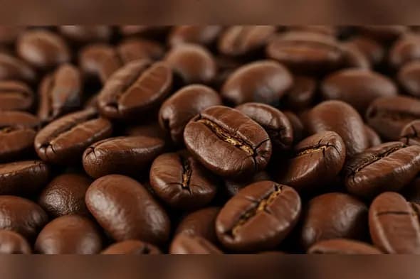 Premium Roasted Coffee Beans Macro Close-up
