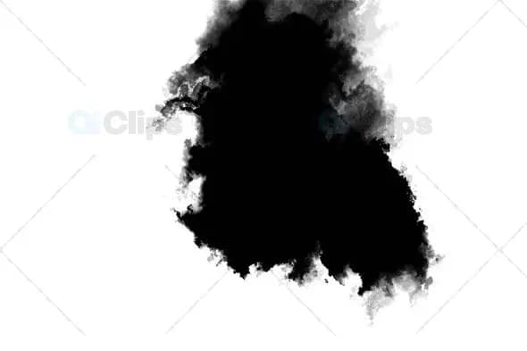Abstract Ink Flow on White Background - Artistic Motion Graphic