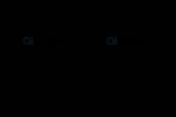 Abstract Black Ink Transition Effect