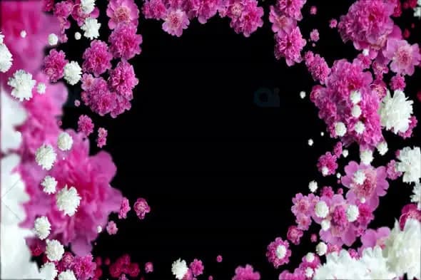 Elegant Floral Frame Animation Background