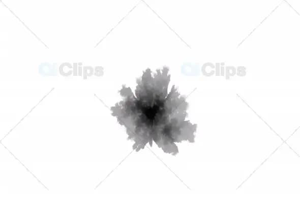 Expanding Ink Burst on White Background - Abstract Motion Graphic