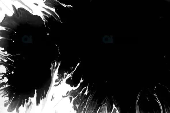 Dramatic Ink Flow Transition Effect