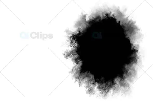 Ink Splash Explosion on White Background - Dynamic Motion Graphic