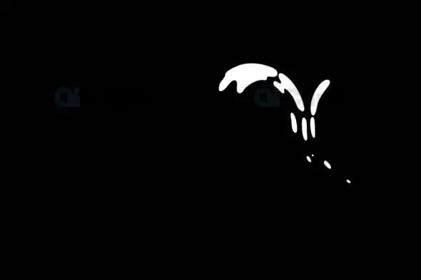 Dynamic Fluid Splash Animation