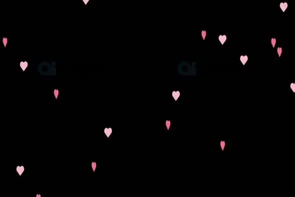 Soft Pink Hearts Falling Animation on Black
