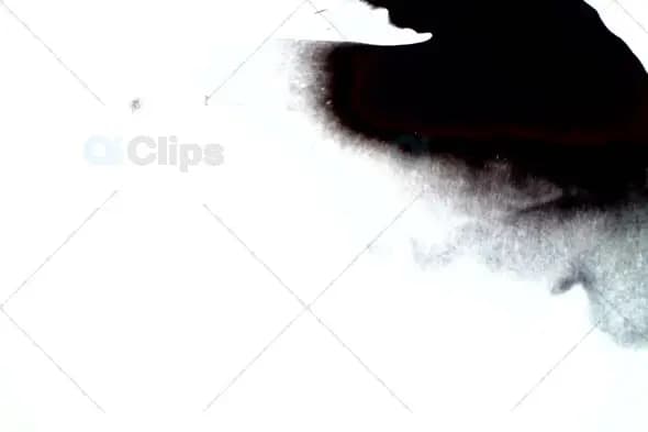 Abstract Ink Flow on White Background