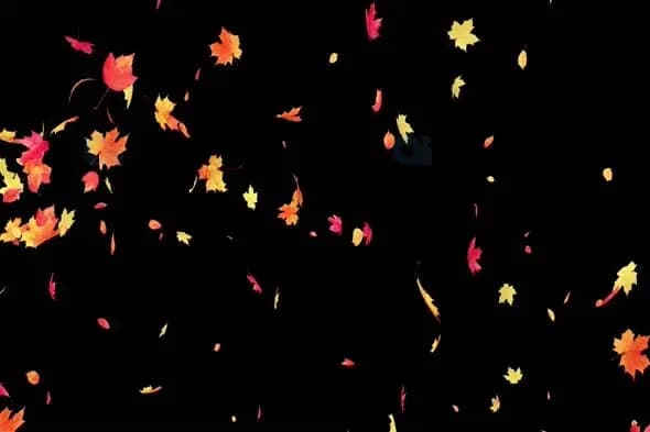Falling Autumn Leaves Animation
