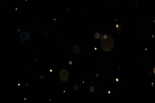 Golden Particles Floating Animation on Black Background