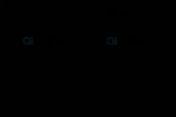 Vintage Film Grain Overlay Animation