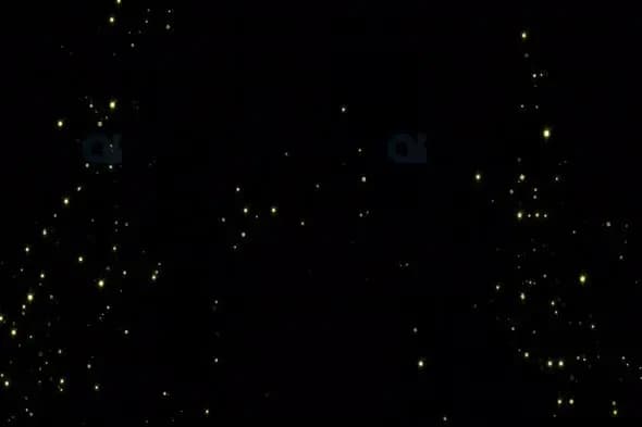 Golden Sparkling Particles Animation